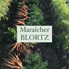 maraicher-blortz